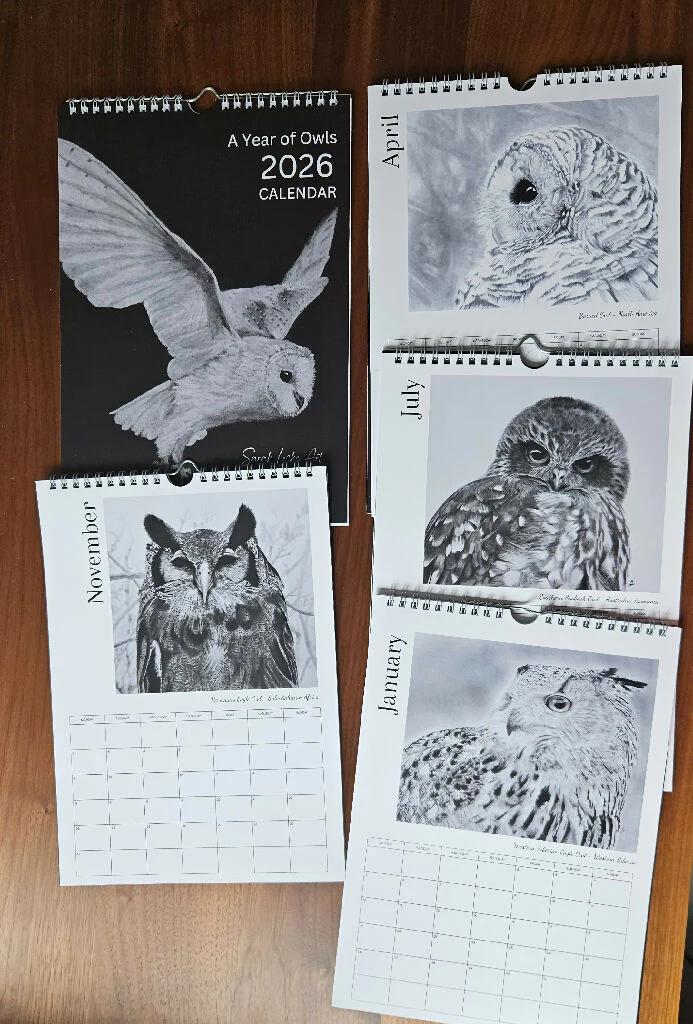 2026 Owl Calendar, A4 size in black and white - Image 2
