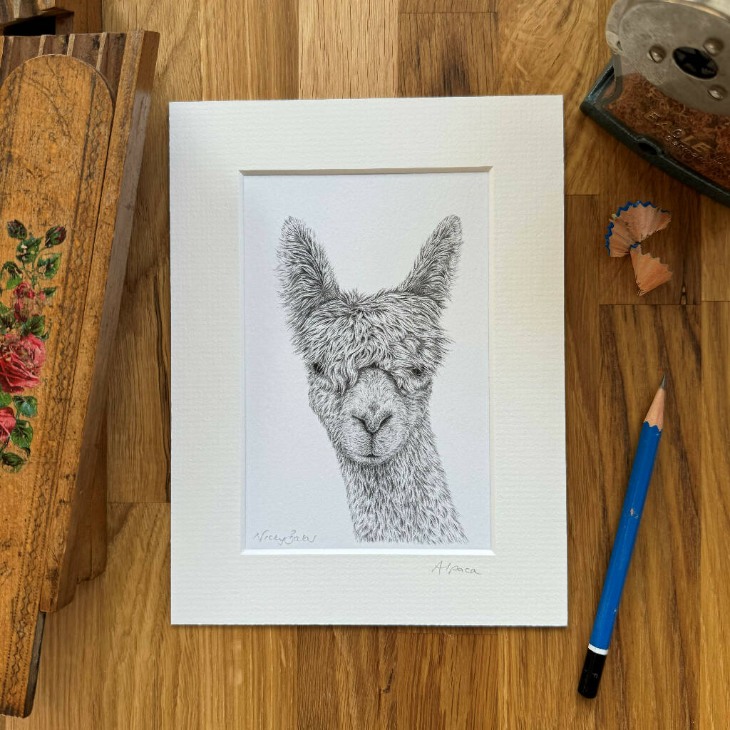 Alpaca art print size 6
