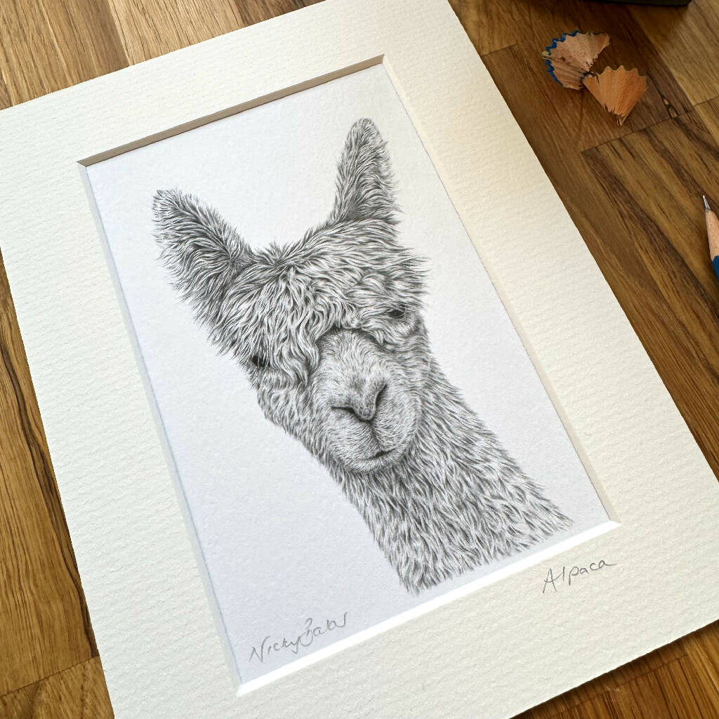 Alpaca art print size 6 - Image 2
