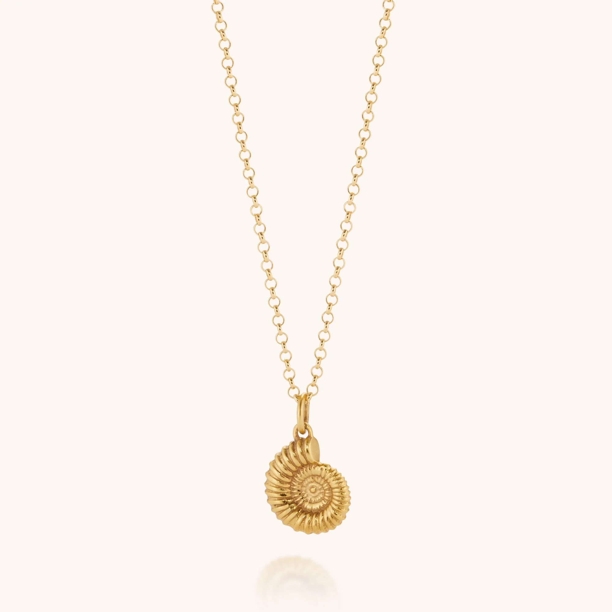 Ammonite Necklace - Image 4