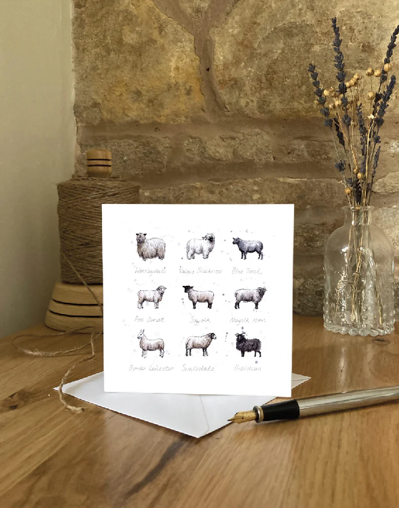Baa | Greetings Card
