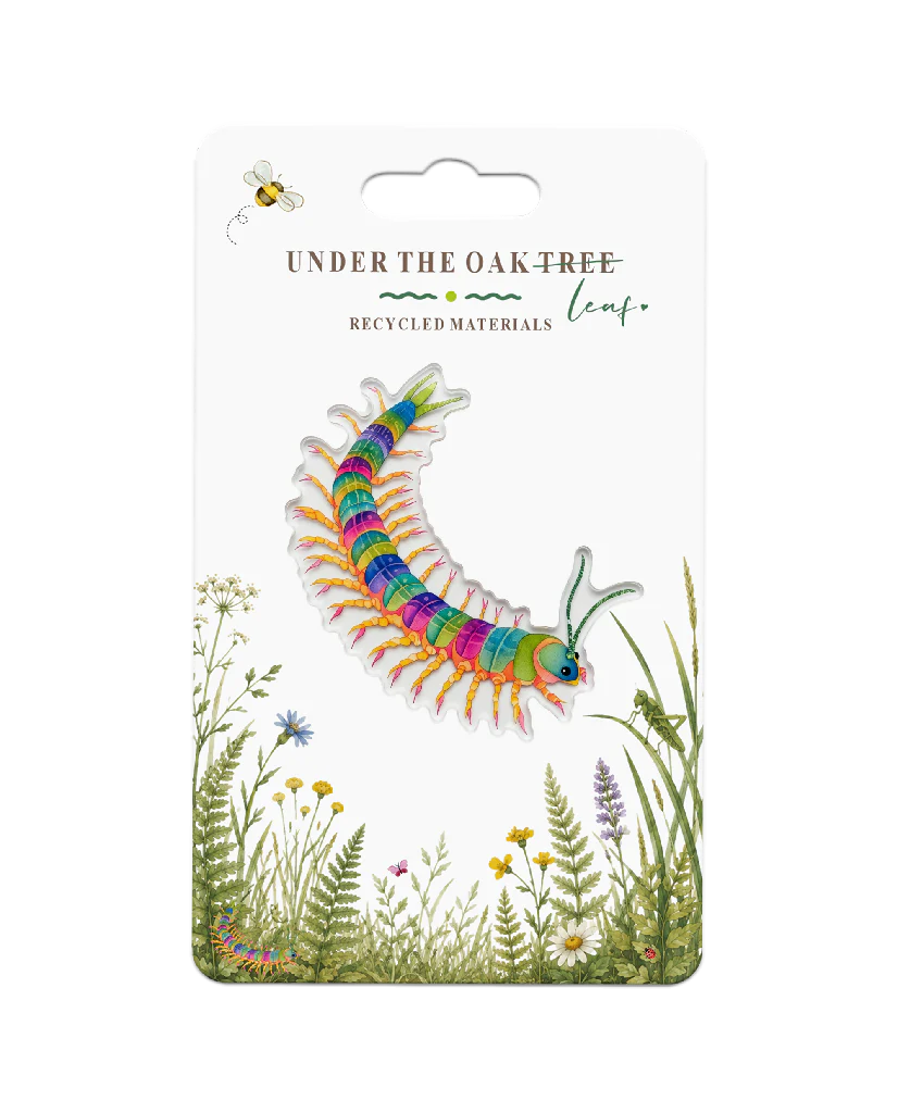 Badge - Centipede Badge Wildlife Nature, Insect Gift Brooch