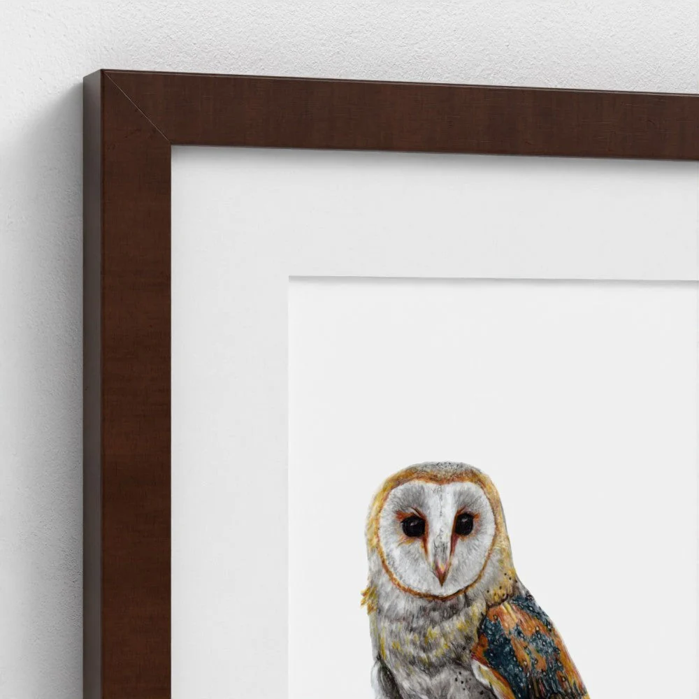 Barn Owl Print - Image 10