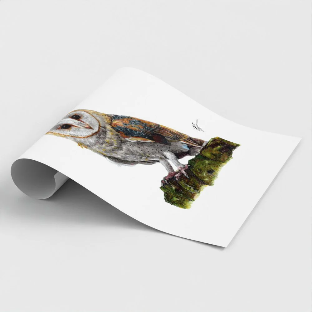 Barn Owl Print - Image 4