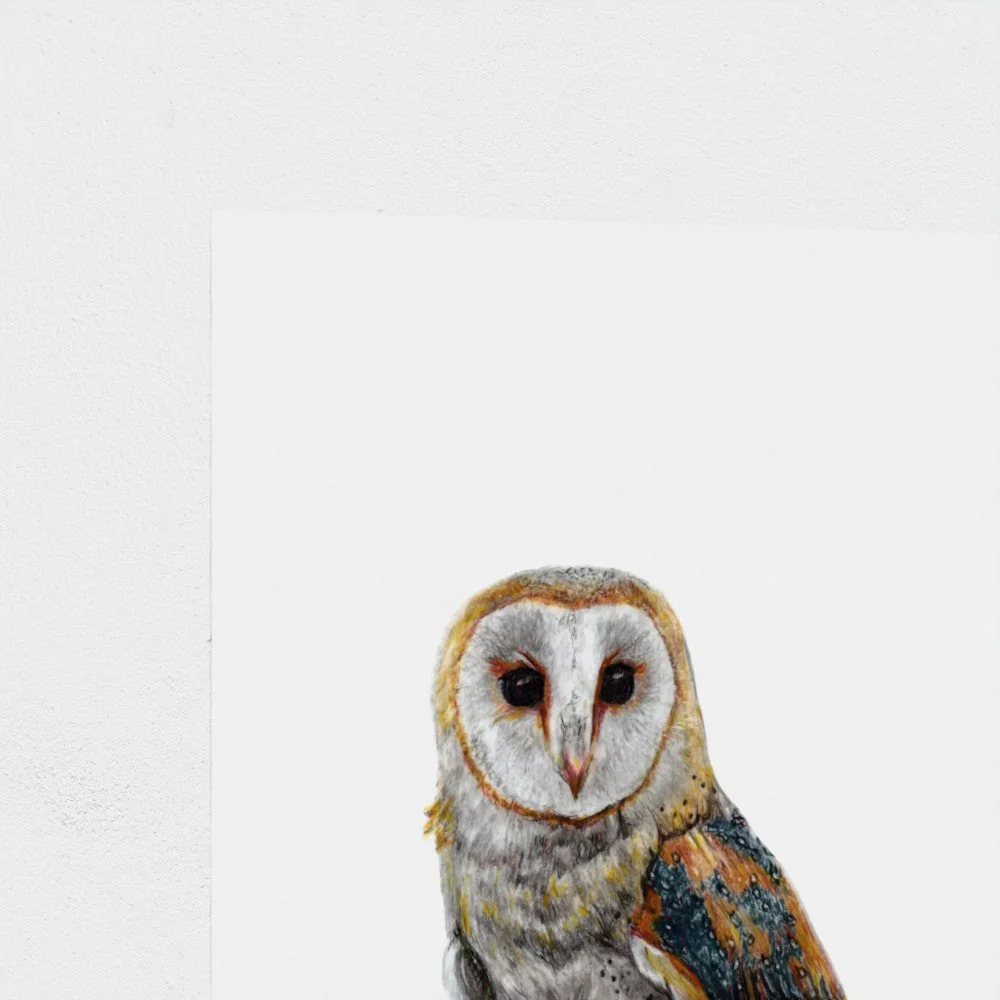 Barn Owl Print - Image 5