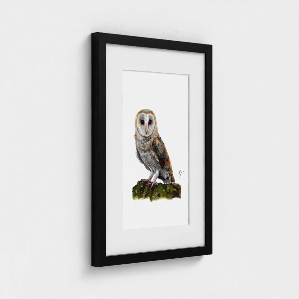Barn Owl Print - Image 6