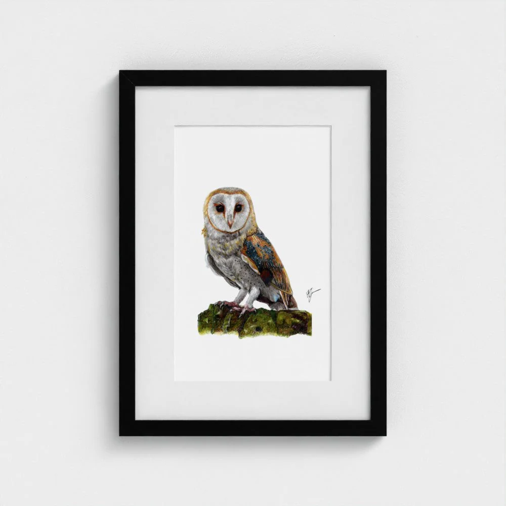 Barn Owl Print - Image 7
