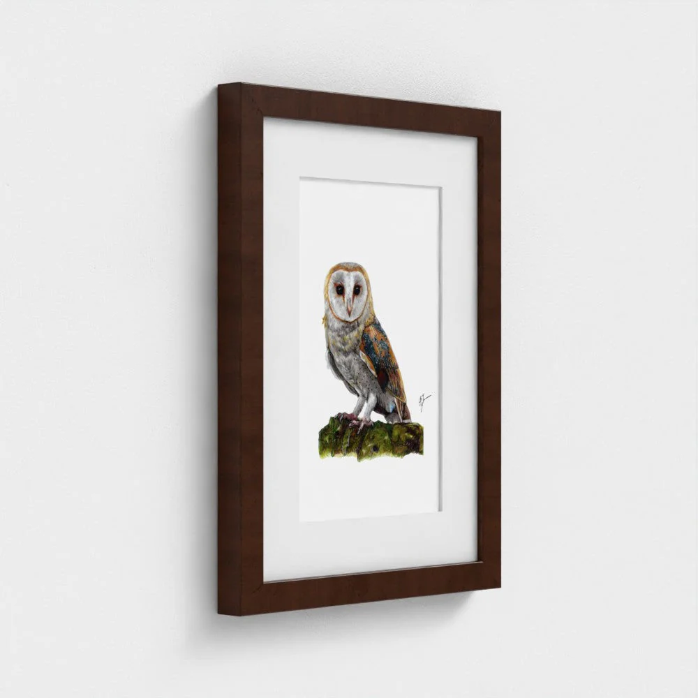 Barn Owl Print - Image 9