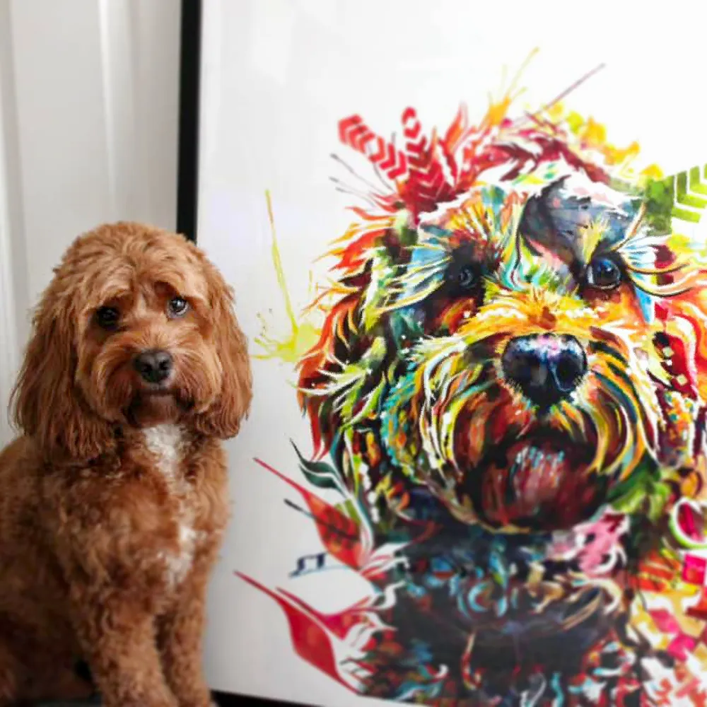 Barney the Cockapoo Framed Print - Image 4
