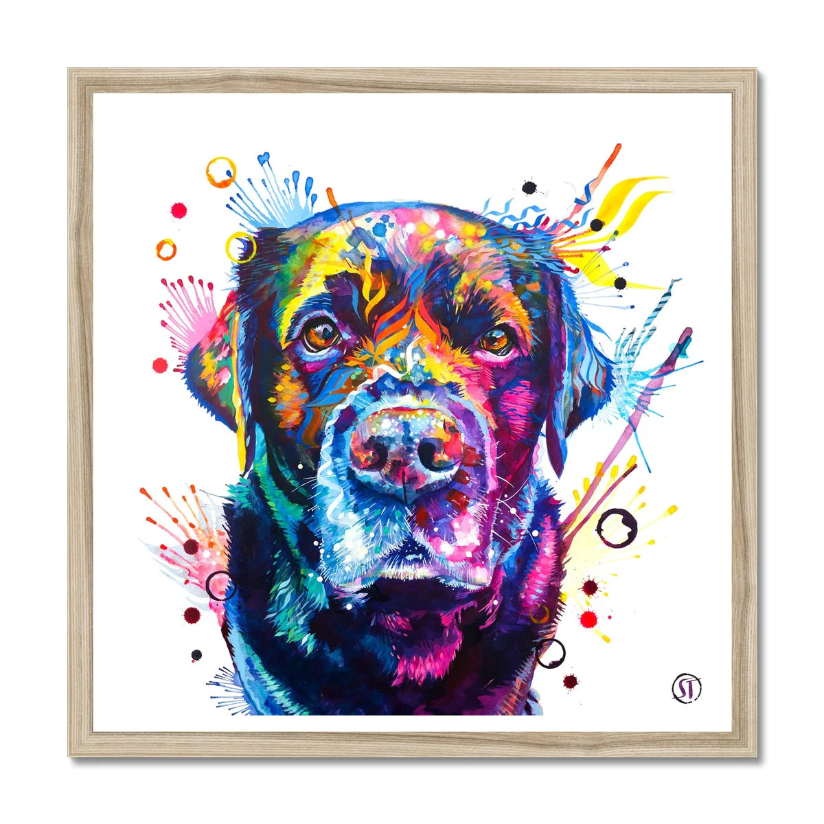 Beckett the Black Lab Framed Print - Image 3
