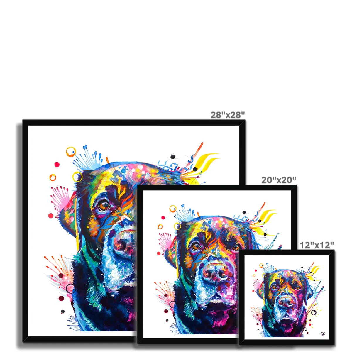 Beckett the Black Lab Framed Print - Image 8