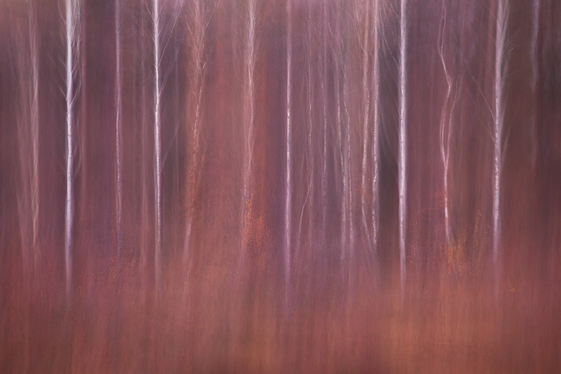 Beginnings - Fine Art for Home Interiors - Image 5