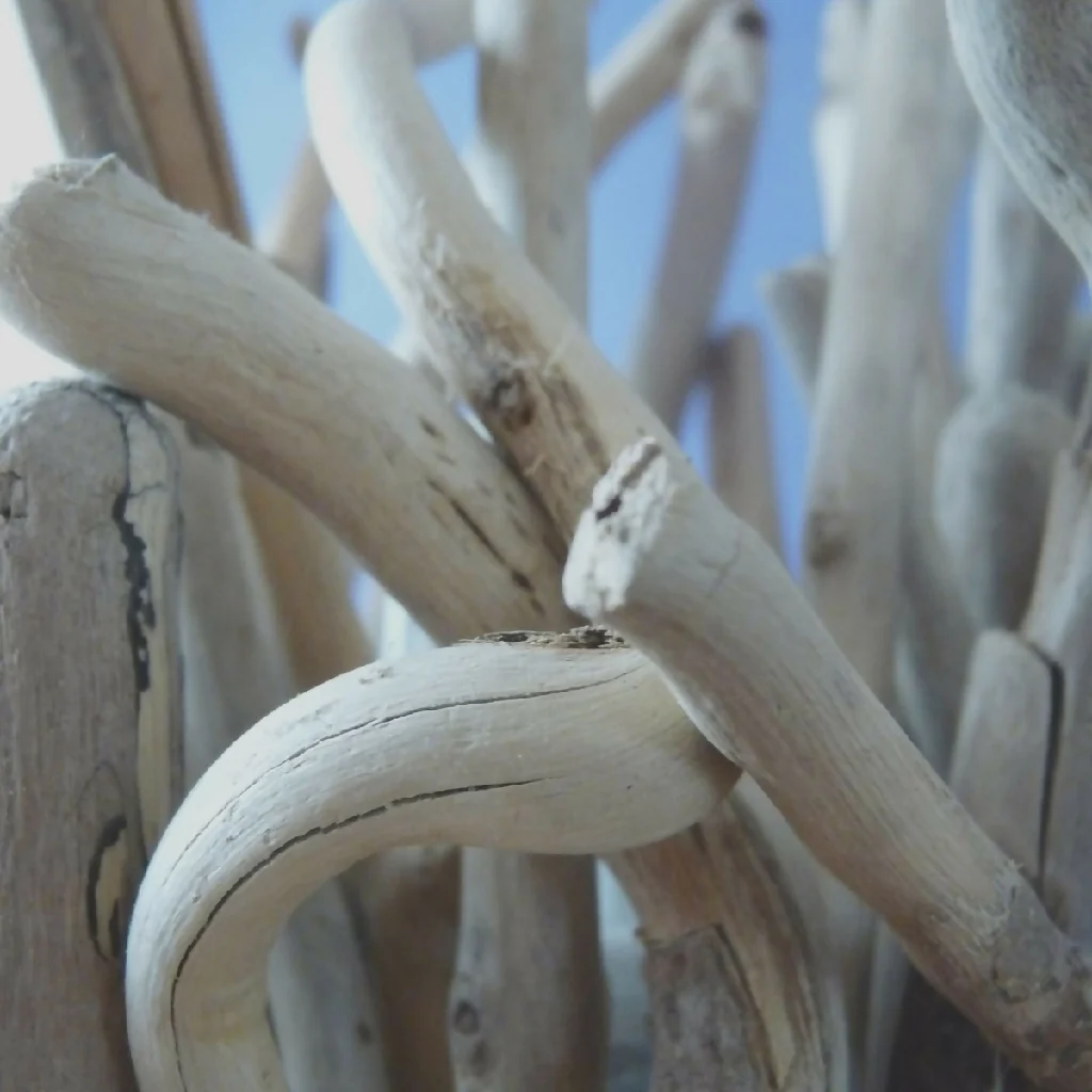 Bespoke driftwood twig lamp - Image 3