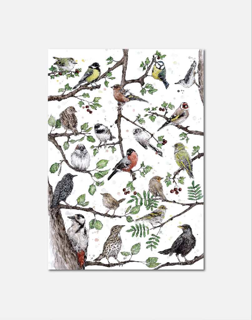 Big Garden Birdwatch | Signed Limited Edition Print - Image 2
