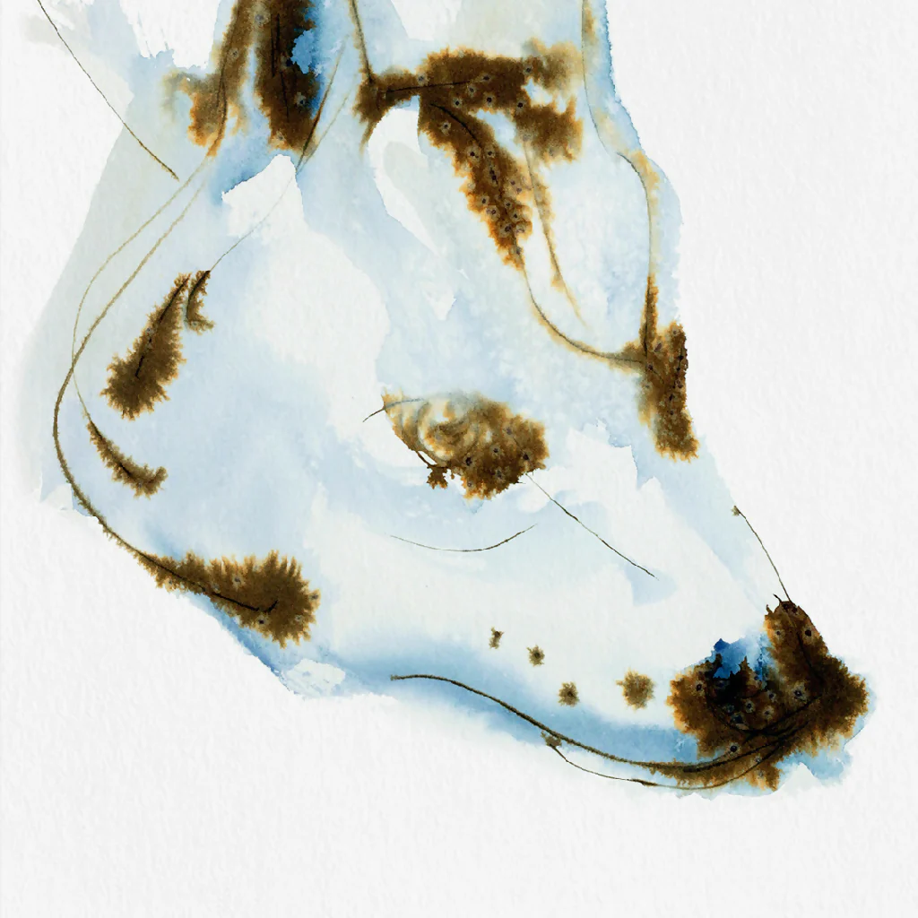 Blue Dog Ink & Watercolour Giclée Fine Art Print - Image 2