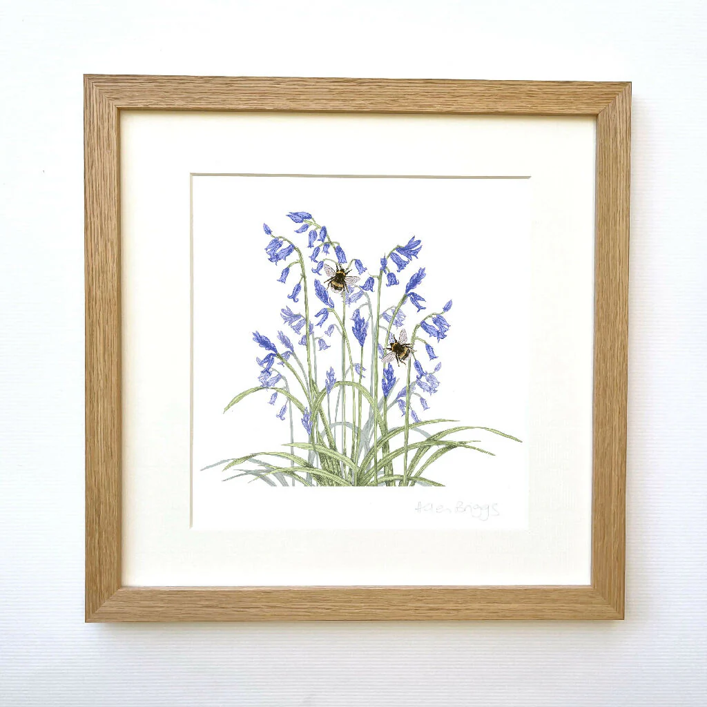 Bluebell Signed and Mounted Giclée Art Print - Image 3