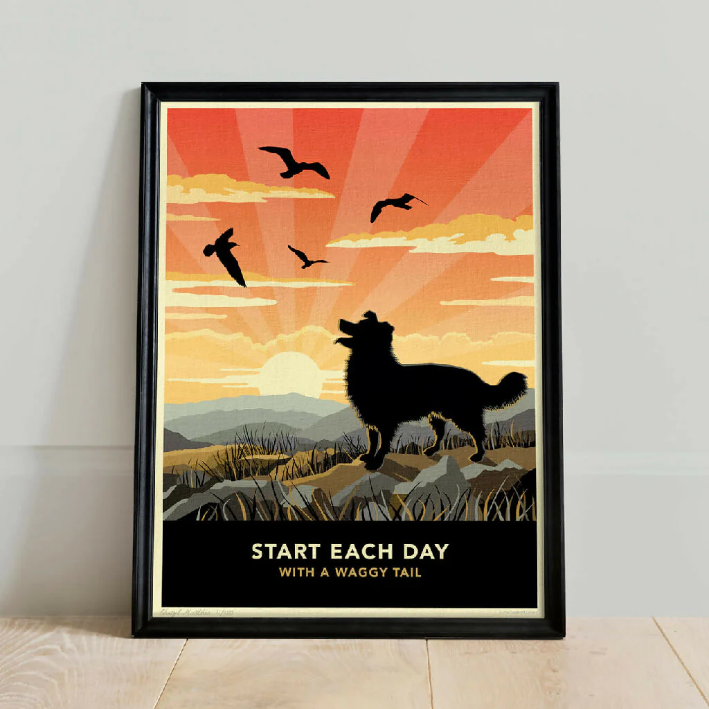 BORDER COLLIE ‘WAGGY TAILS’ LIMITED EDITION ART PRINT - Image 5