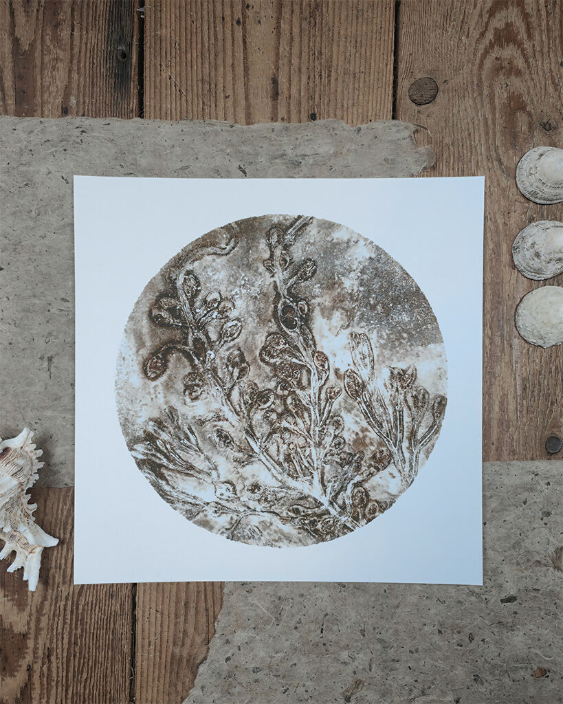 Brown Circular Seaweed Knotted Wrack and Channelled Wrack Gelli Print - Image 2