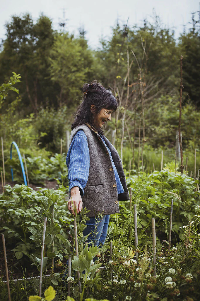 Cambrian Gilet - Image 5