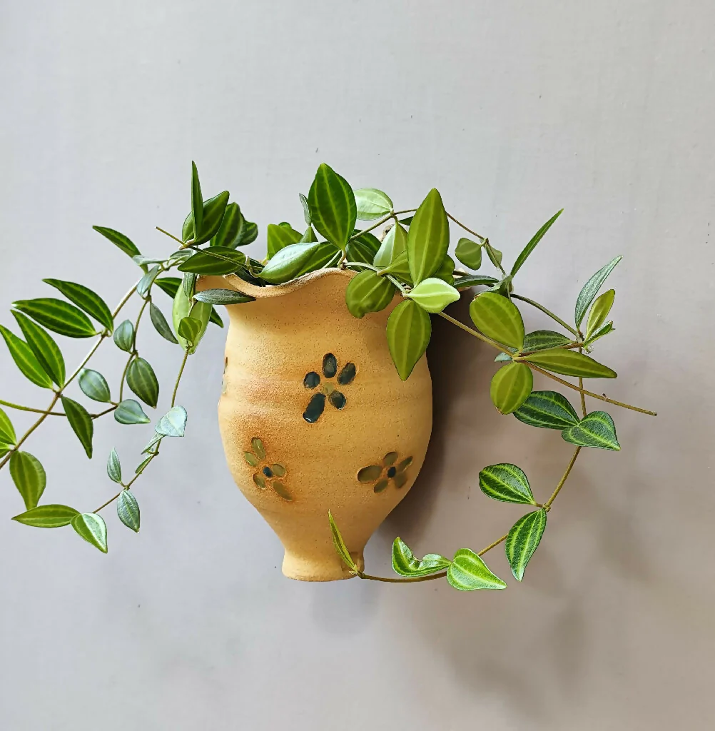 Ceramic Wall Mounted Plant Pot Handmade Hanging Planter - Image 4