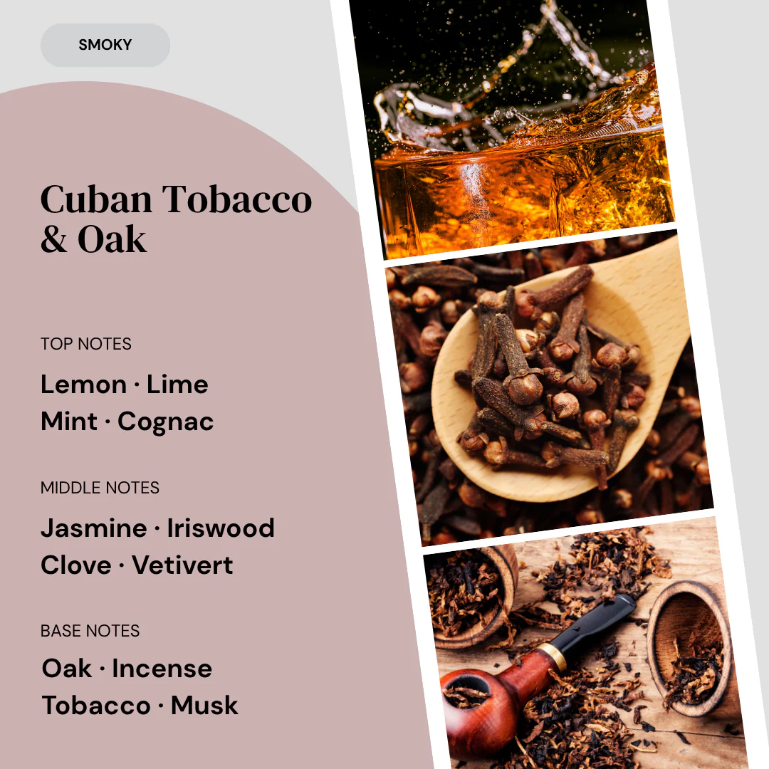 Cuban Tobacco & Oak Reed Diffuser - Image 3