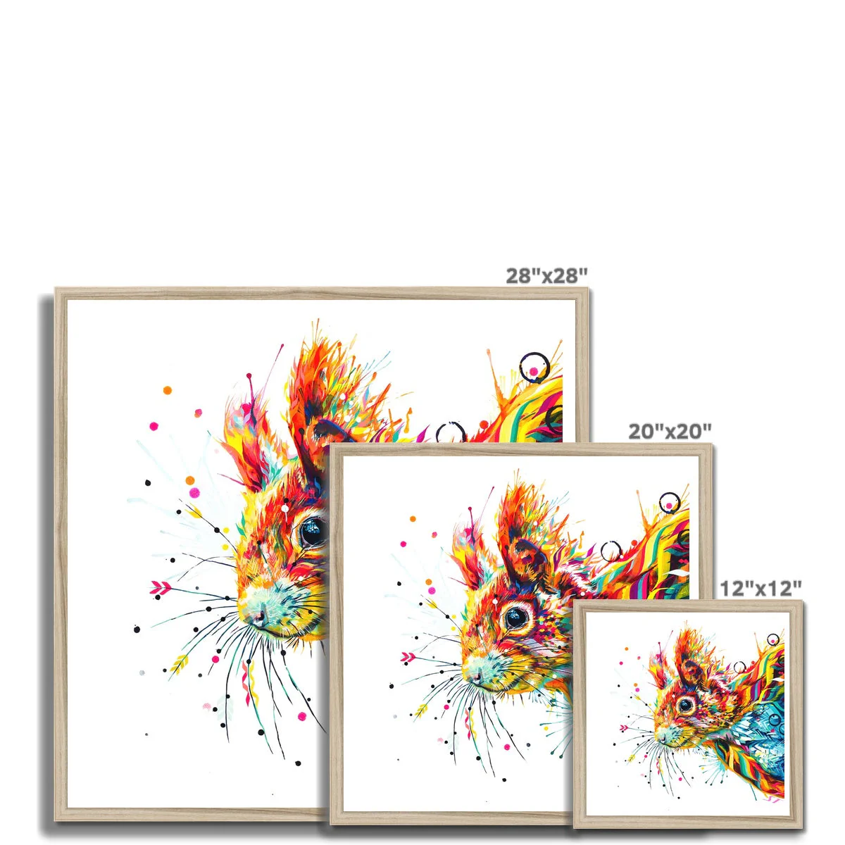 Cynthia the Squirrel Framed Print - Image 12