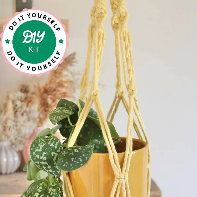 DIY Macrame Plant Hanger Craft Kit - Image 4