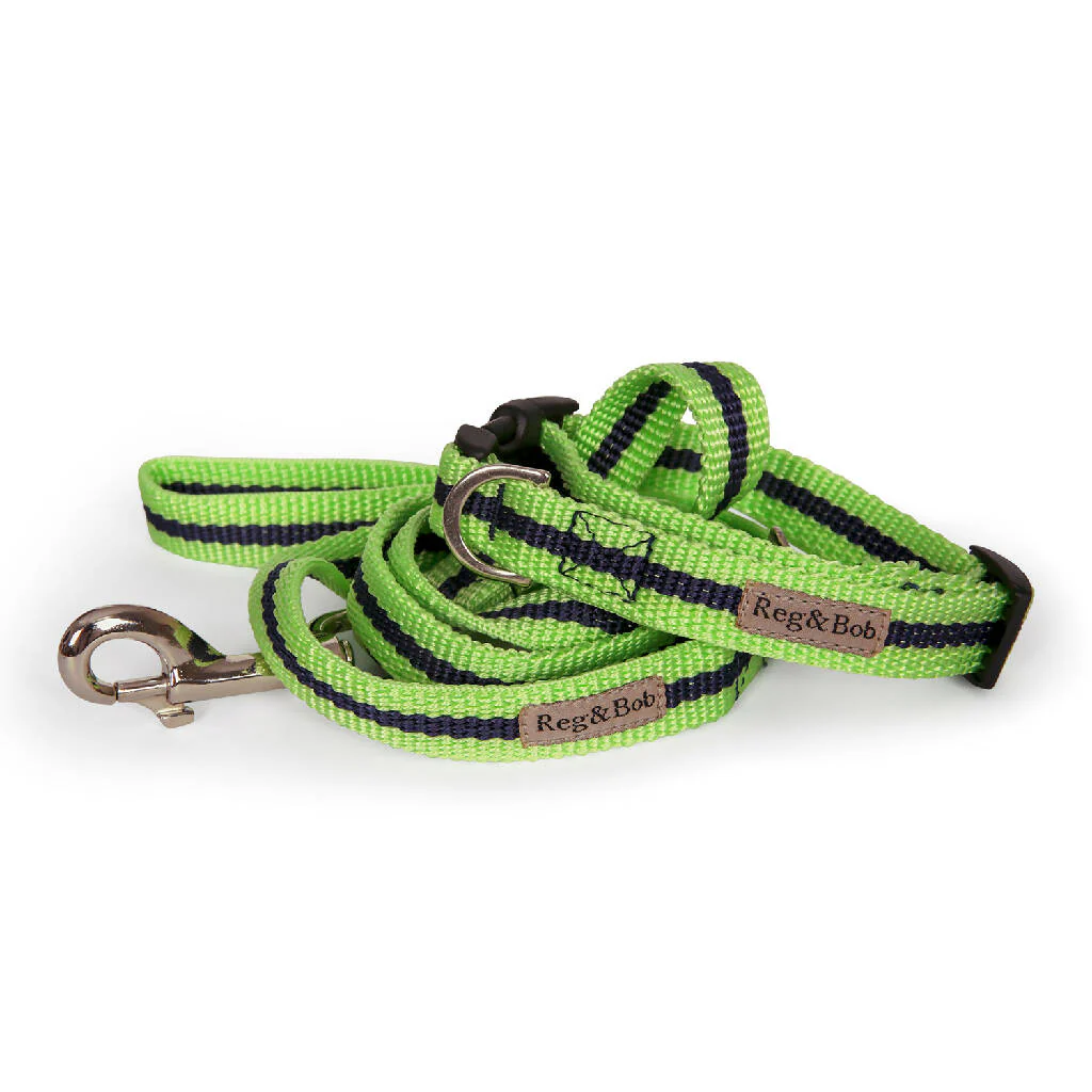 Dog Collar & Lead SET in Lime And Navy Stripe - Image 2