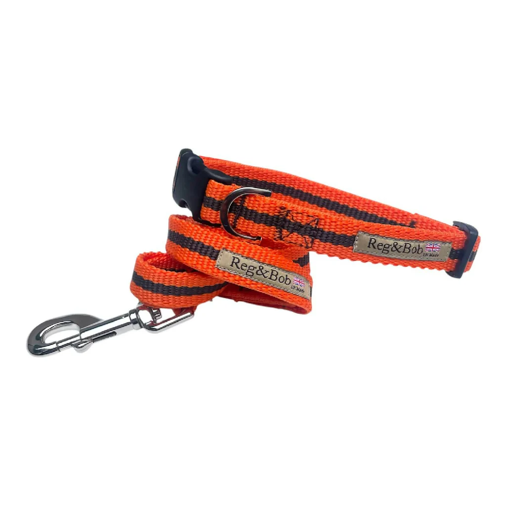 Dog Collar & Lead SET in Orange And Brown Stripe - 4 sizes - Image 3