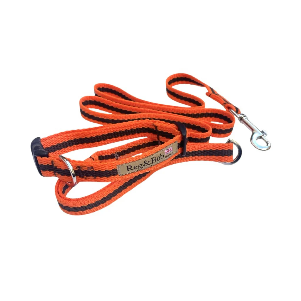 Dog Collar & Lead SET in Orange And Brown Stripe - 4 sizes - Image 4
