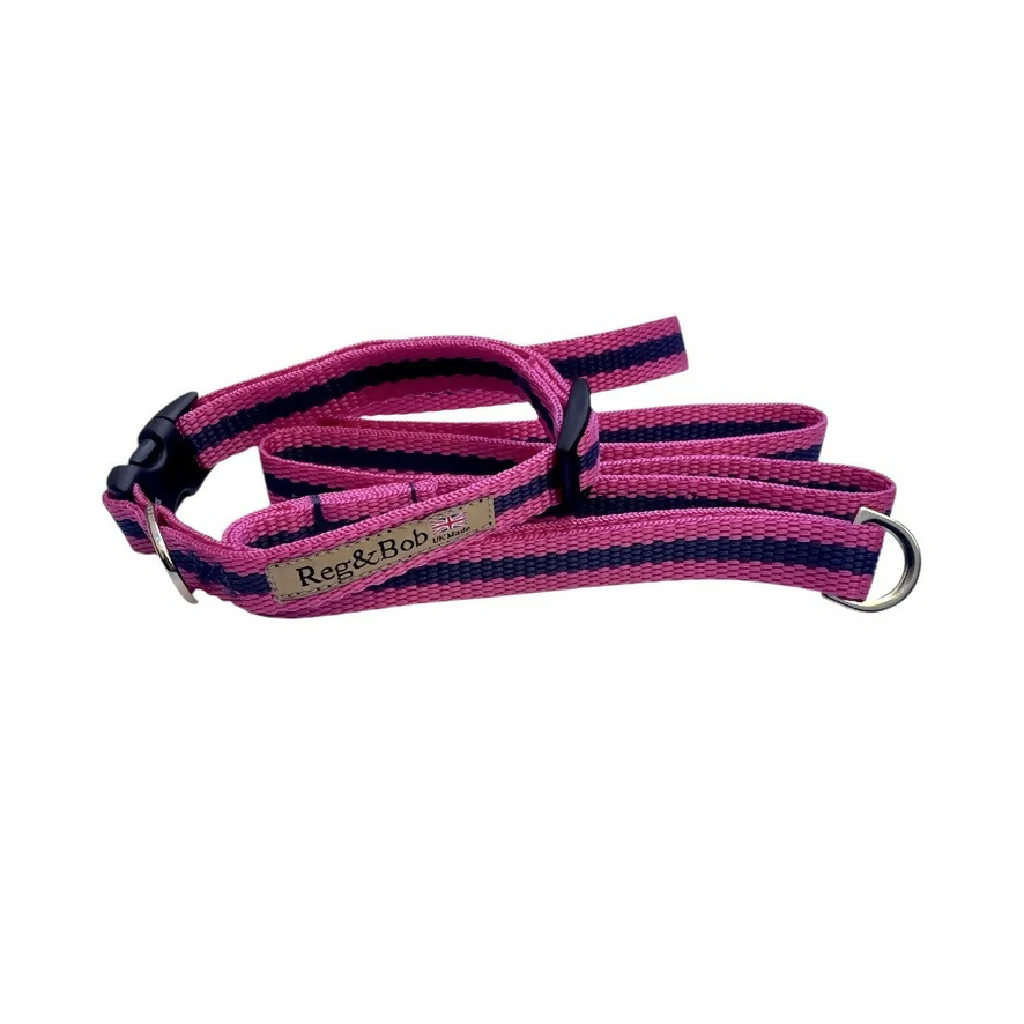 Dog Collar & Lead SET in Pink And Navy Stripe - 4 sizes - Image 3