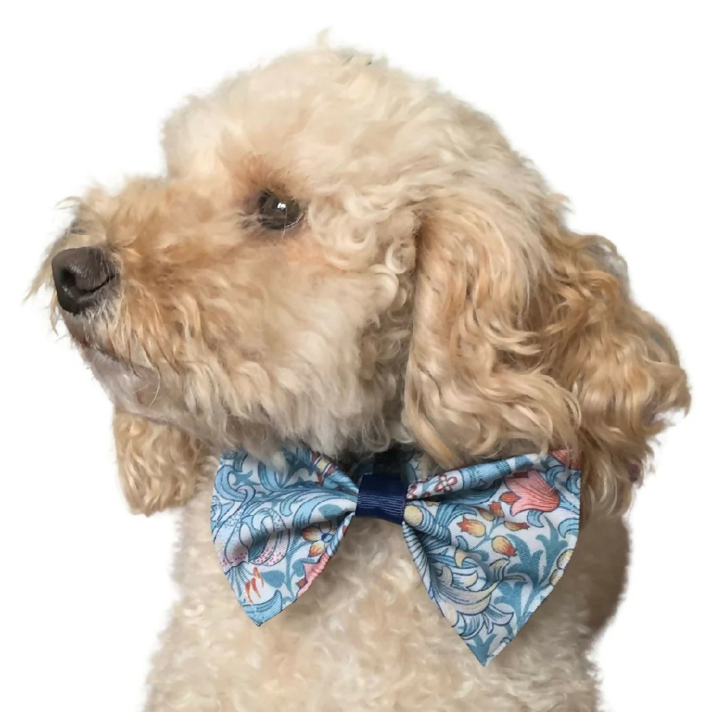 Dog Gift Set | William Morris | Golden Lily | 5 Piece | Cornflower - Image 6