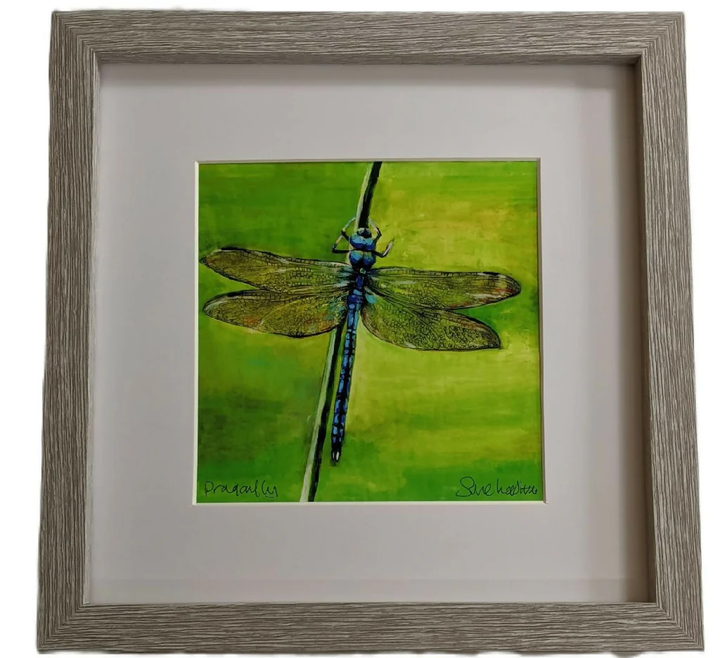 Dragonfly - Image 2
