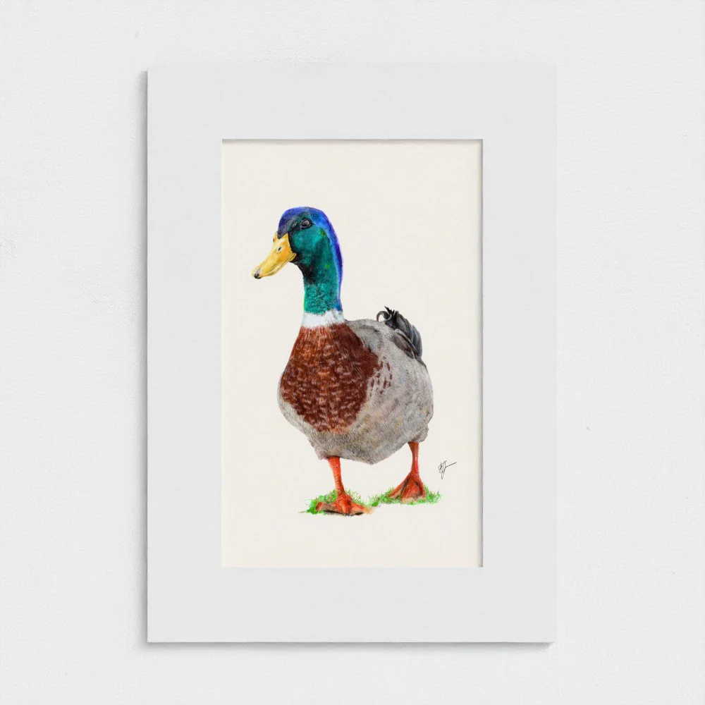 Duck Print - Image 2