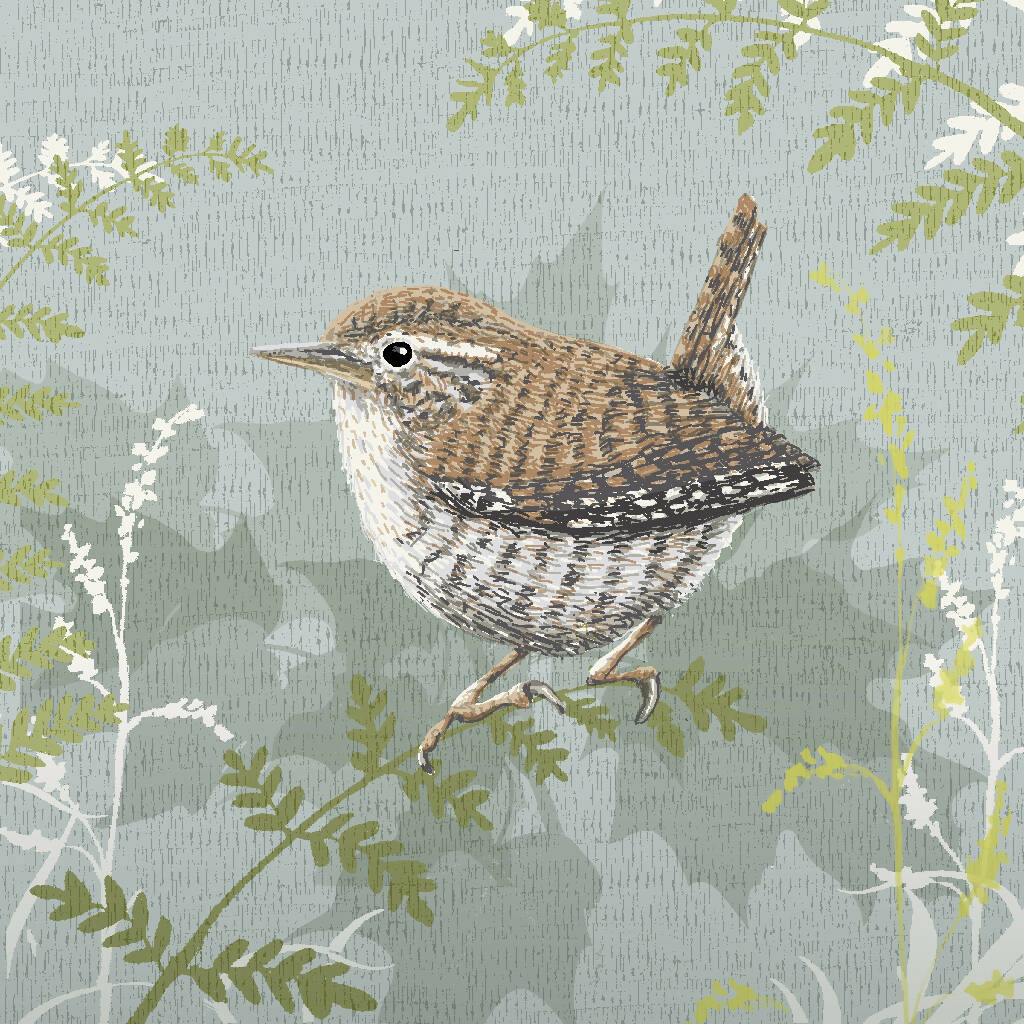 English Wren -Signed and mounted Giclée Art Print - Image 5