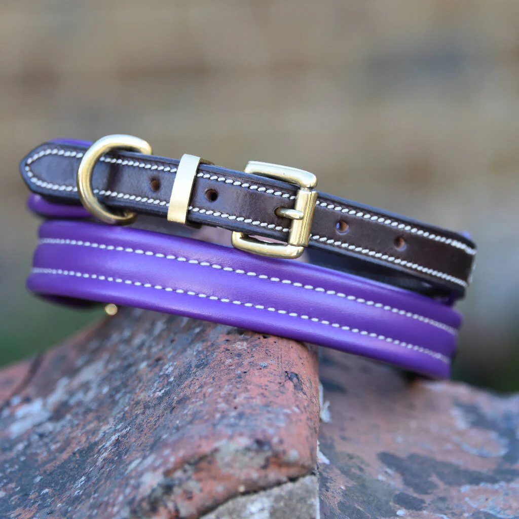 Fairfield Leather Dog Collar - Image 5