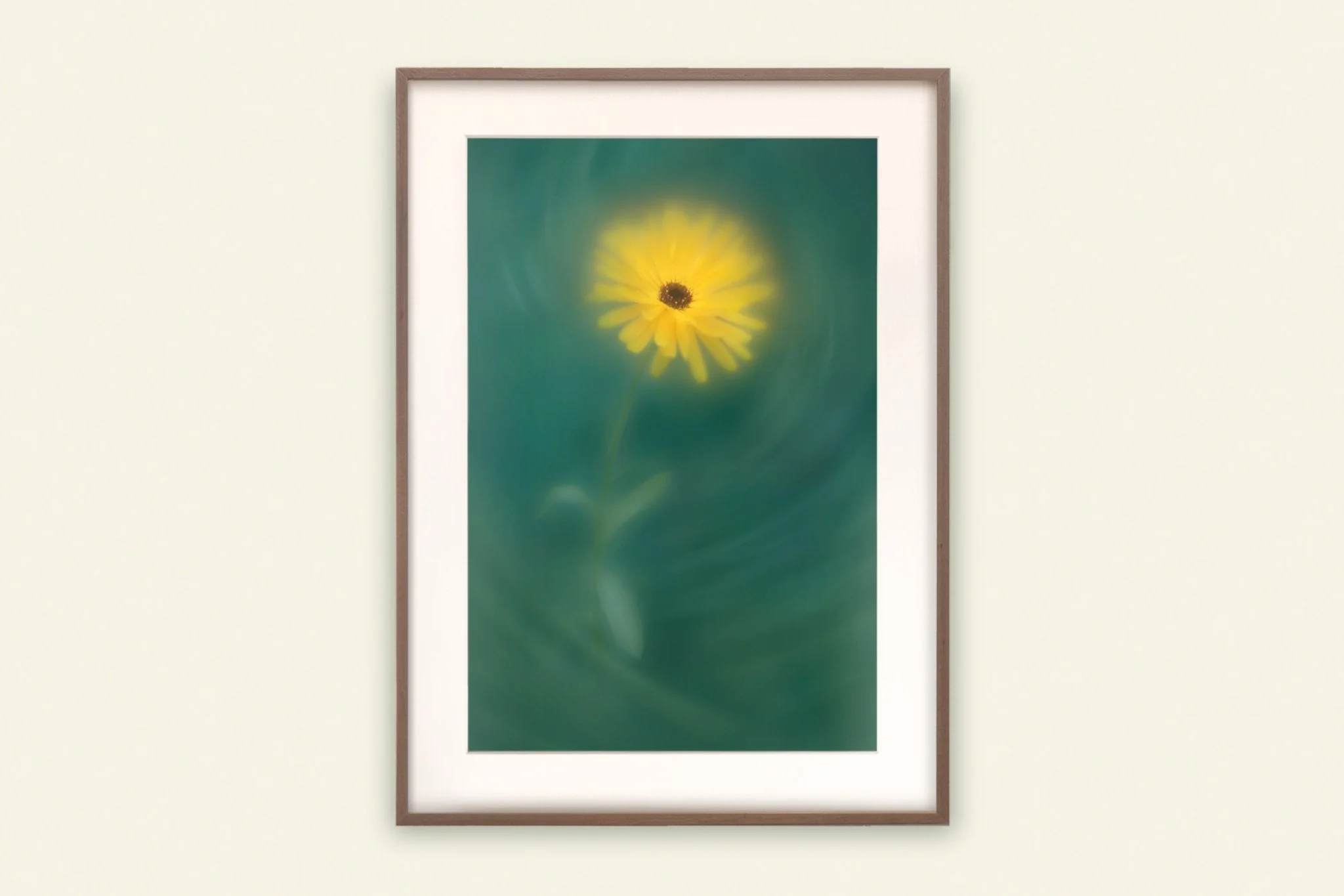 Field Marigold - Flower Art Print for Home Interiors - Image 2
