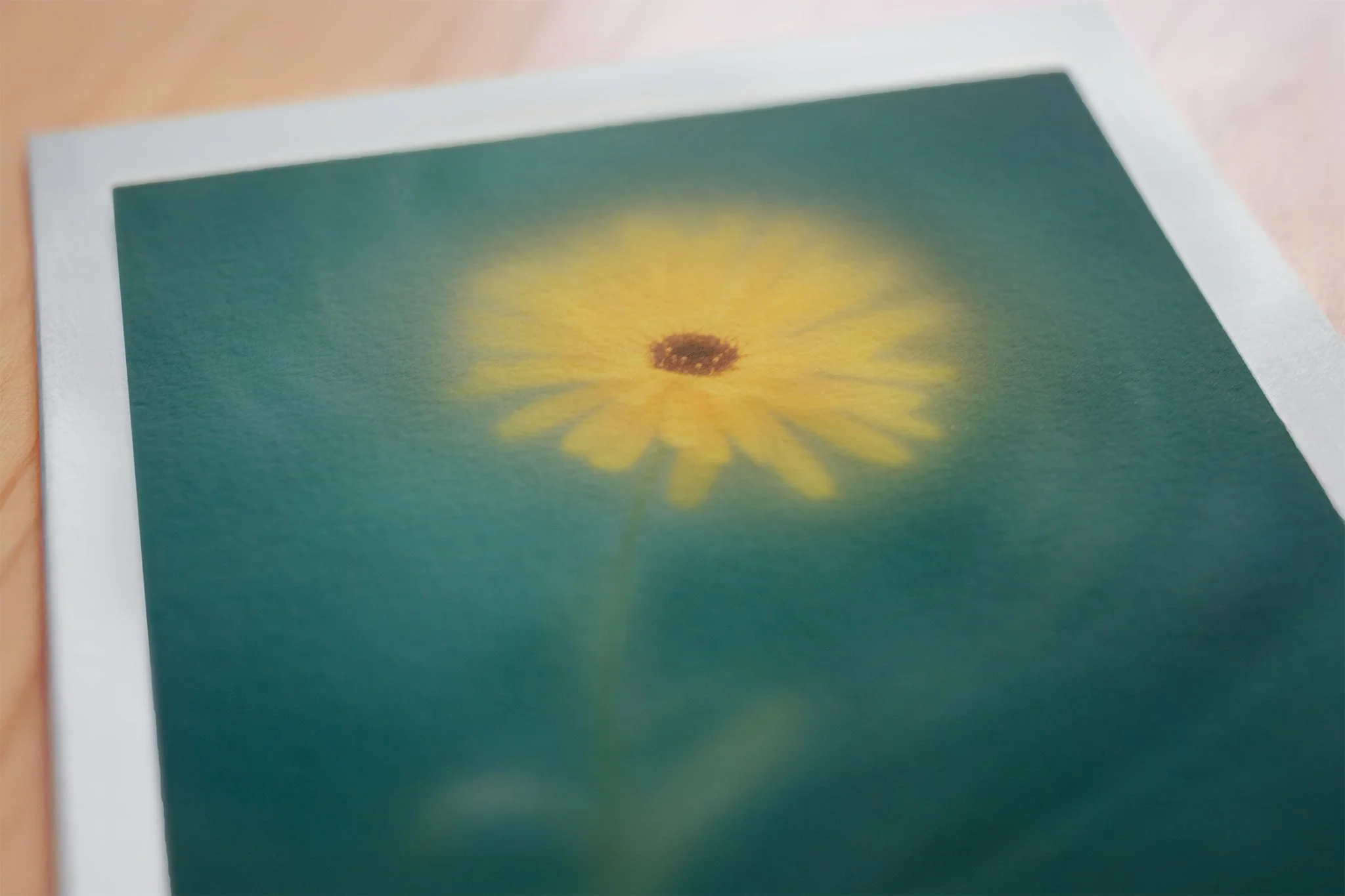 Field Marigold - Flower Art Print for Home Interiors - Image 5