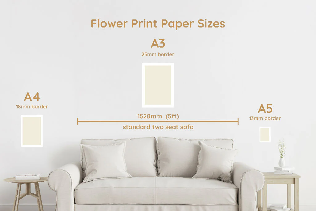 Field Marigold - Flower Art Print for Home Interiors - Image 8
