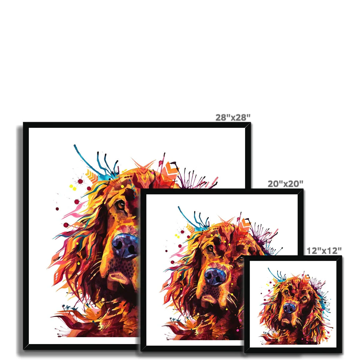 Freddy the Irish Setter Framed Print - Image 11