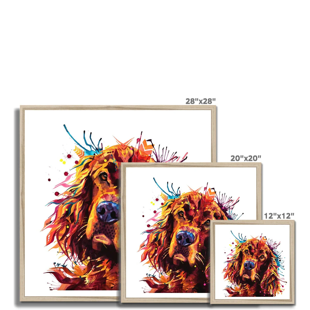 Freddy the Irish Setter Framed Print - Image 12
