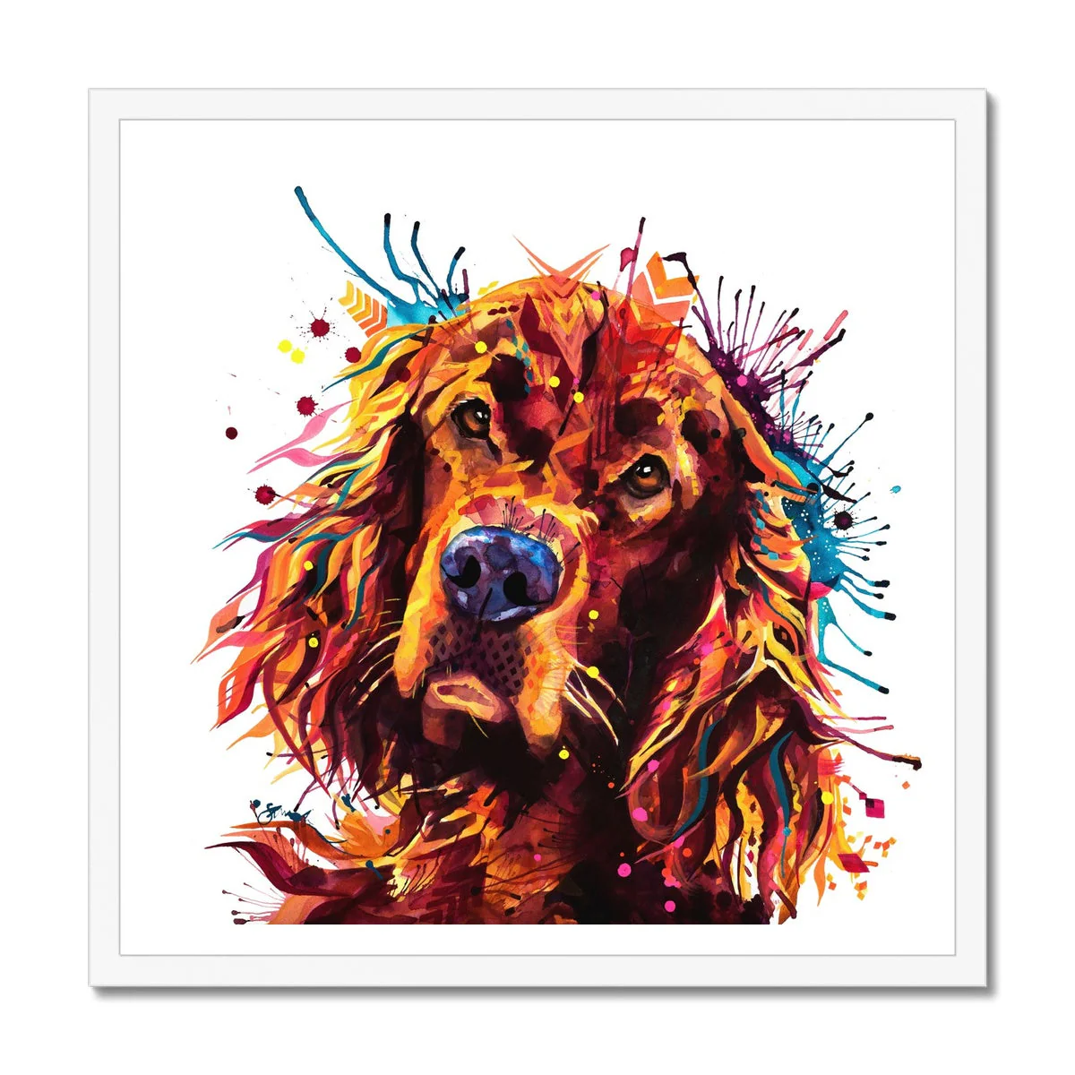 Freddy the Irish Setter Framed Print - Image 2