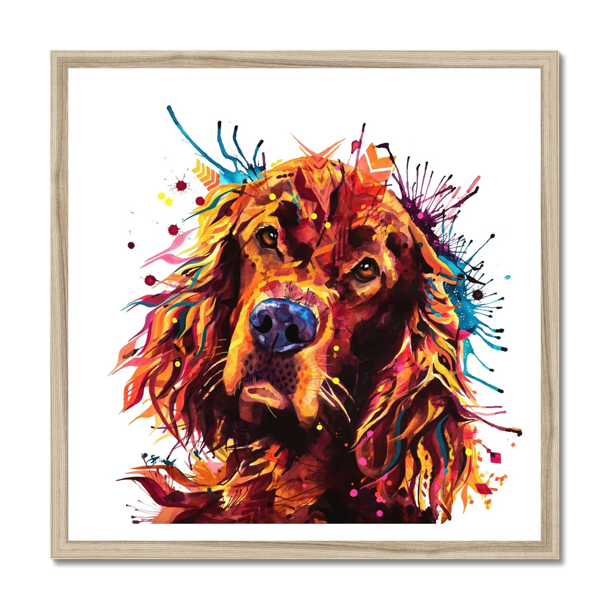Freddy the Irish Setter Framed Print - Image 3