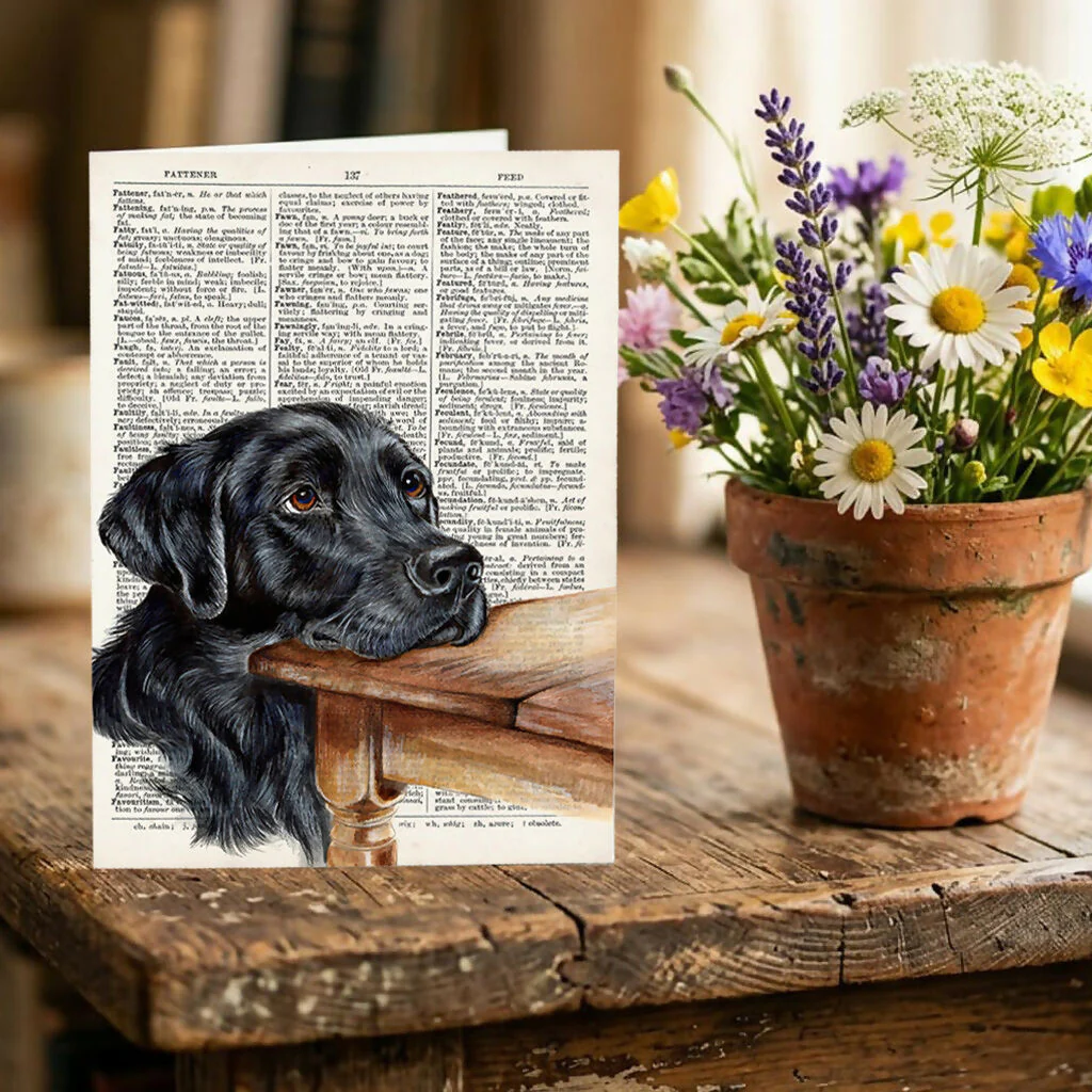Funny Labrador A5 Greeting Cards - Set of 3 - Image 3