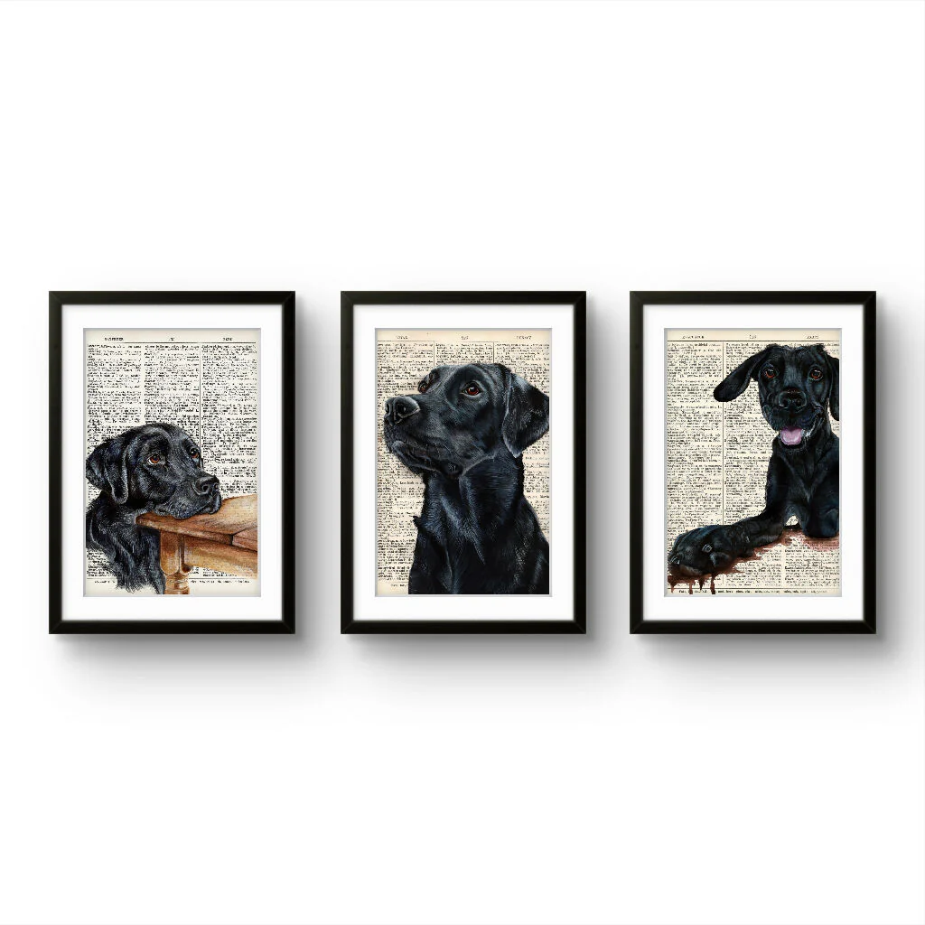 Funny Labrador Prints - Set of 3 - Image 7