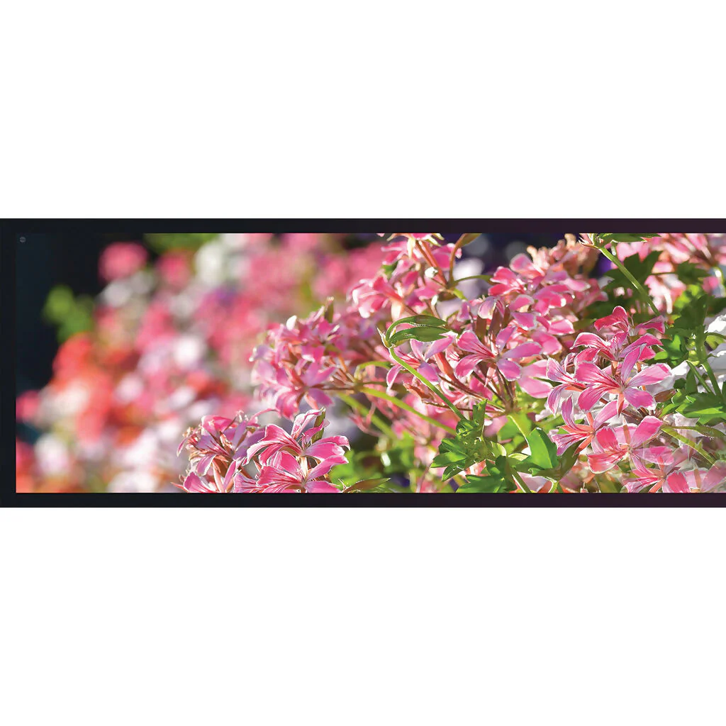 Geranium silk scarf - Image 5