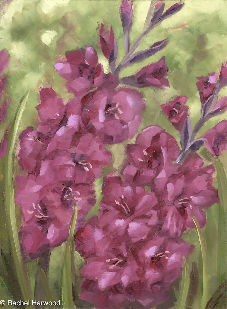 Gladioli Fine Art Pint - Image 2
