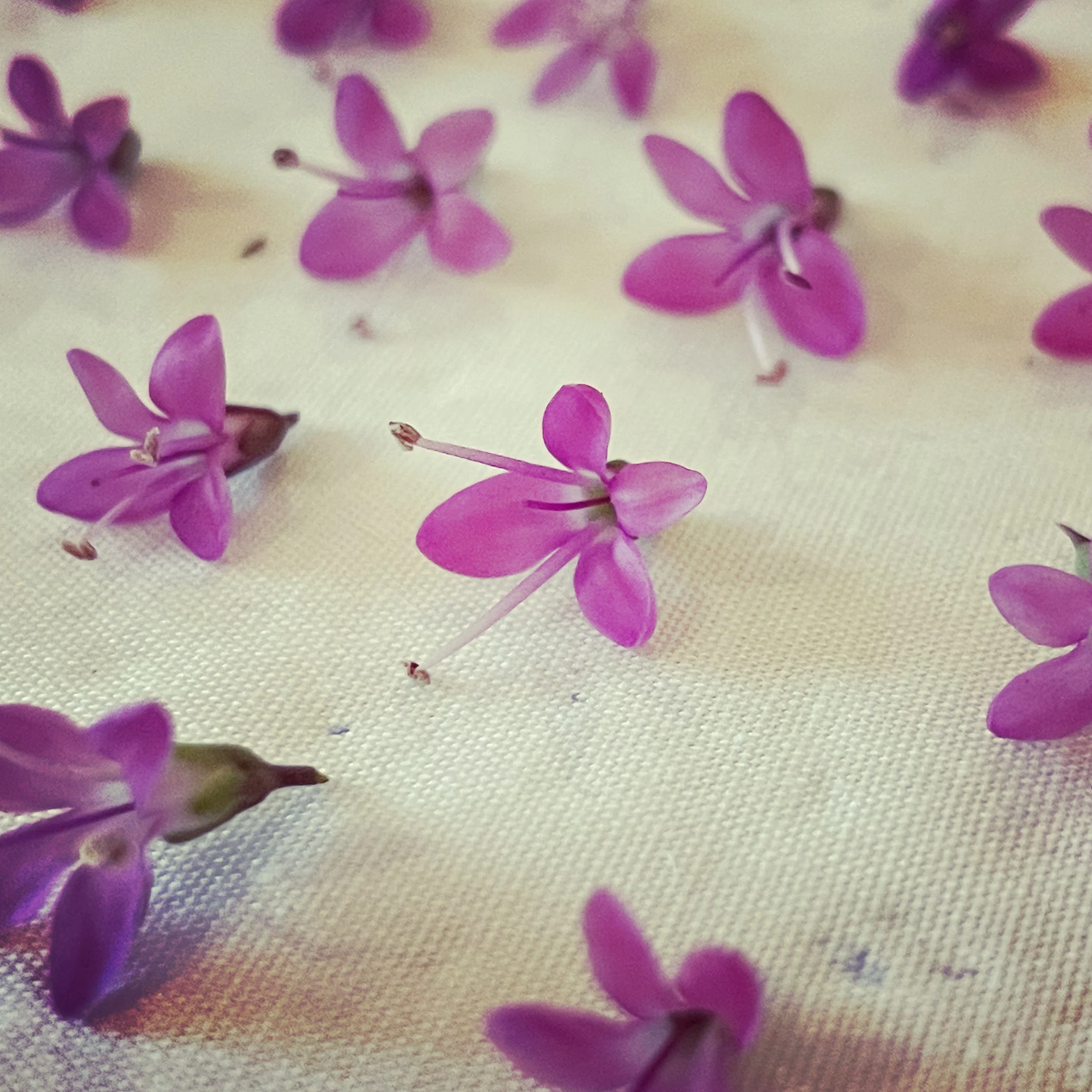 Gold statement earrings with pink flowers - Image 10