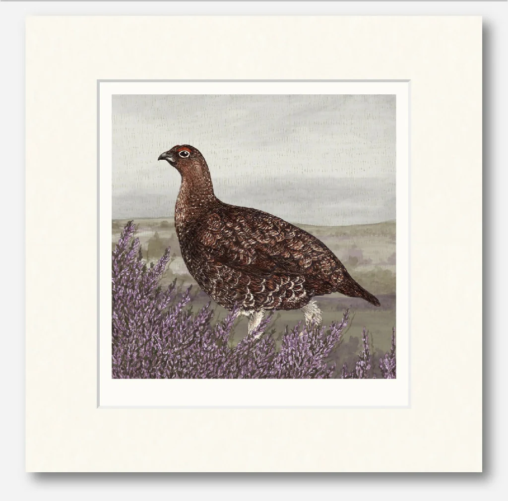 Grouse Signed and Mounted Giclée Art Print - Image 3