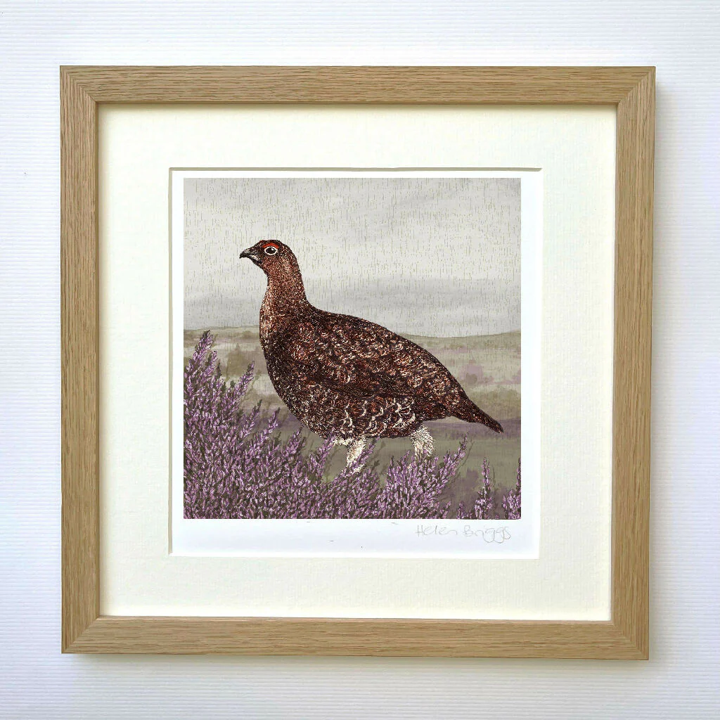 Grouse Signed and Mounted Giclée Art Print - Image 4